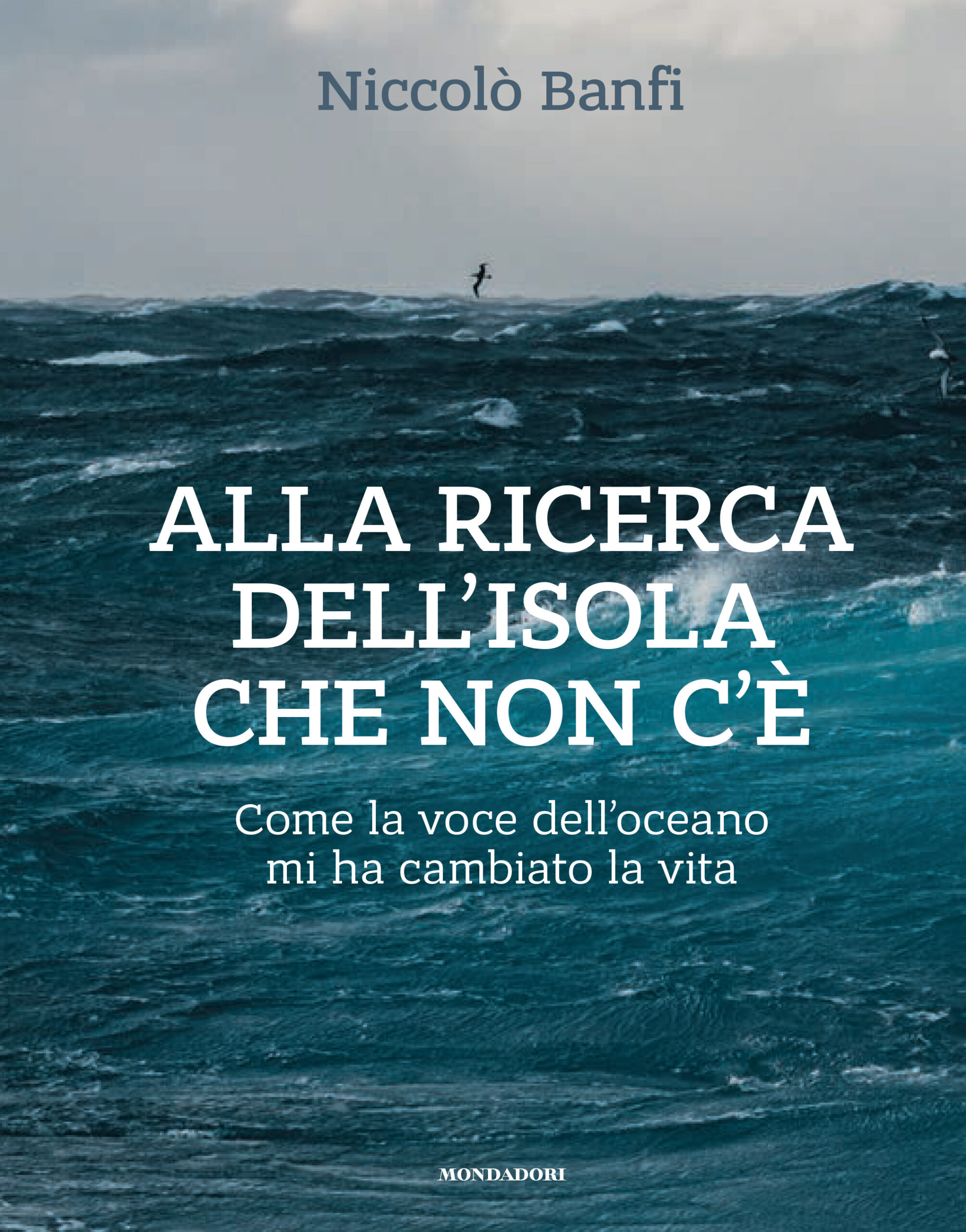 Alla Ricerca dell'Isola che non c'è — Niccolò Banfi